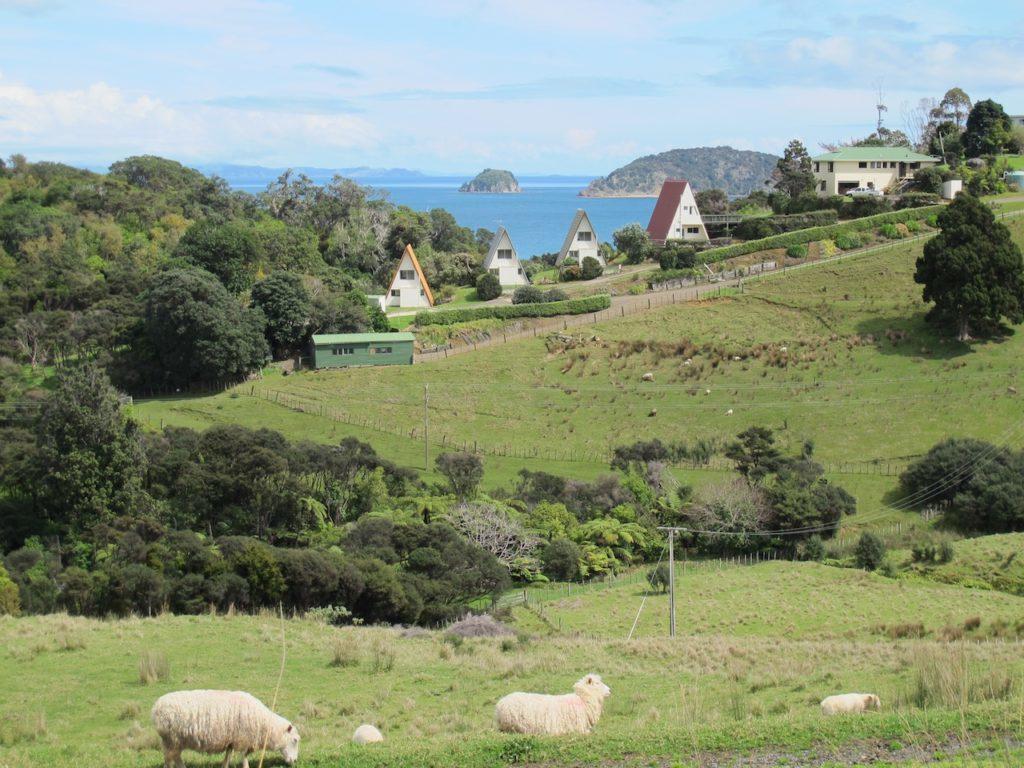 Coromandel Pohutukawa Coastal Chalets מראה חיצוני תמונה
